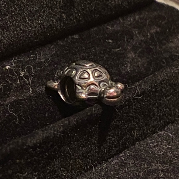 Pandora retired cute turtle - Picture 3 of 3